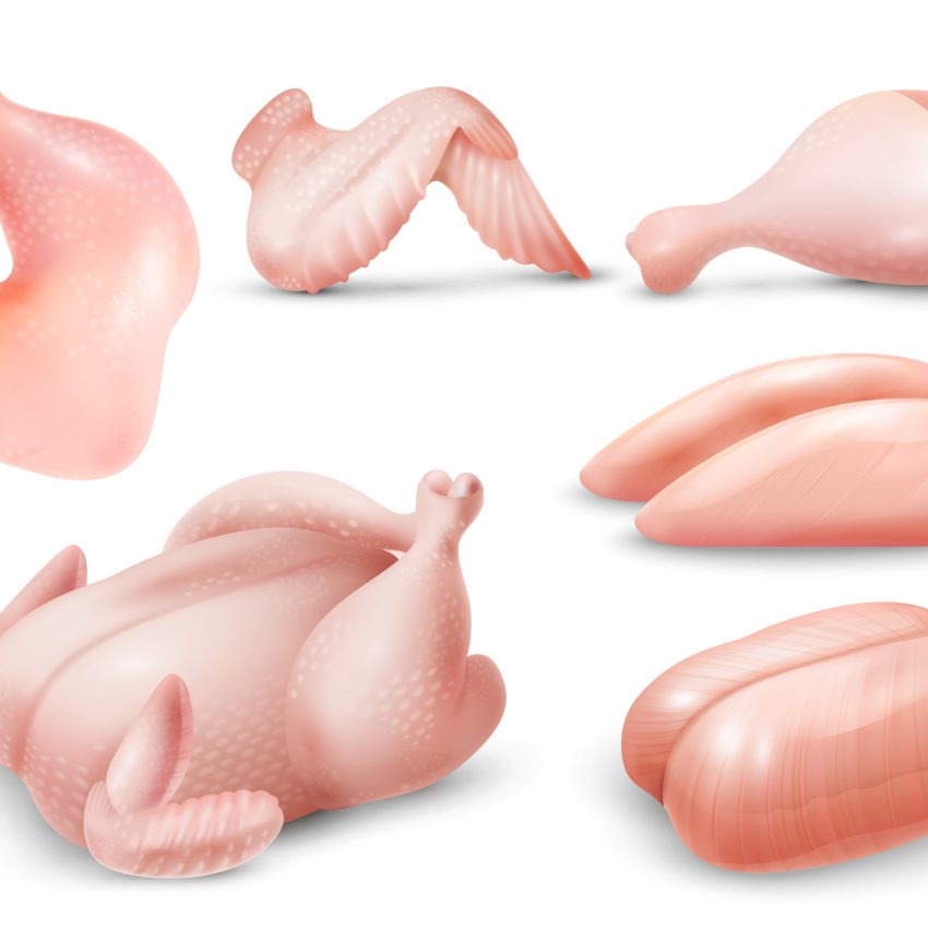 Realistic raw chicken meat set with carcass breasts wing leg quarter isolated vector illustration SSUCv3H4sIAAAAAAACA02RTU/DMAyG/4rlc8VA3HpmICEhpnGcOLiJ15mmCcTpBpr633H2gbjZfu349ZMjdqTisD2ihDBpyVQkRWzvGmQvJWWhgO3t3KAWKpOyWq9ljgr3pp7y6yObY61ji48peaDo4SFLHNCGp+5Sxrm5dr12H+yK/skvoo5DoMhpUpzfG6Seo/upG21l5sB0MrAxaTgUzuPFzV48p3NIk5ca4j45CqbfV7d2WRprtc/0uROXZc+55p7VWYBrpiBaxEGmAzhrGTjCyFRAucBByg4cZUeq0GXzUdSKsYfAPXxNlM0NiKZgXDzs7a5k+T+kN7A0ntQFhuXq7QRnzdHXqQjPqyfYpjwalgbLd4WDzYXS+S1dpDOtxbZCbDAN9knzPP8CpMDg6MIBAAA=